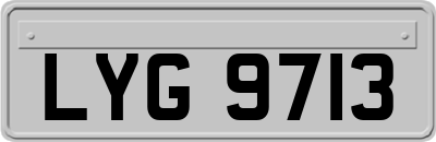 LYG9713