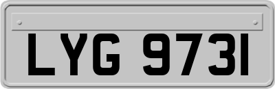 LYG9731