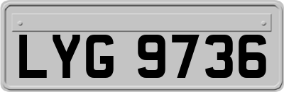 LYG9736