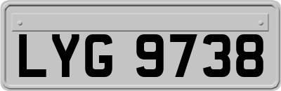 LYG9738