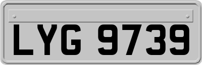 LYG9739