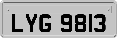 LYG9813