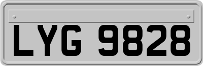 LYG9828