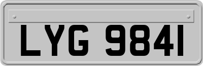 LYG9841