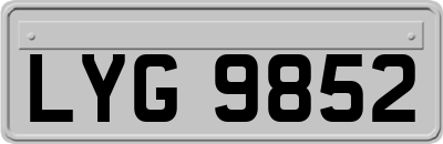 LYG9852