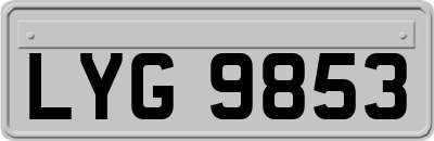 LYG9853