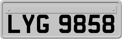 LYG9858
