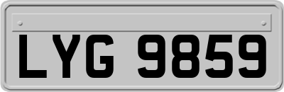 LYG9859