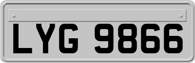 LYG9866