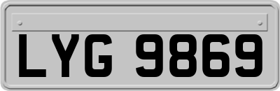 LYG9869