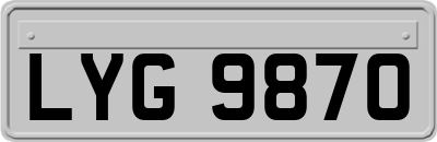 LYG9870
