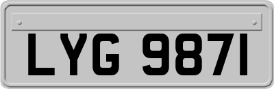LYG9871