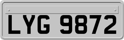 LYG9872