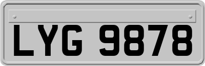 LYG9878