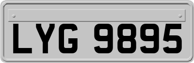 LYG9895