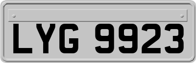 LYG9923