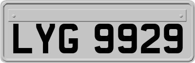 LYG9929