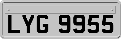 LYG9955