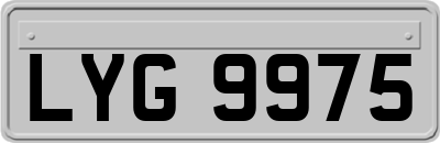 LYG9975