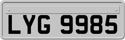 LYG9985