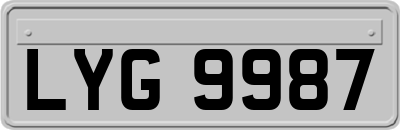 LYG9987