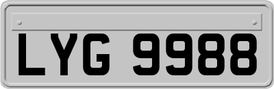 LYG9988