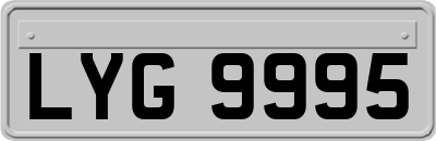 LYG9995