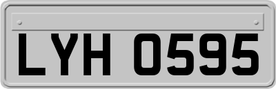 LYH0595