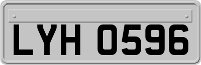 LYH0596