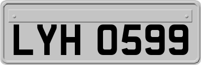 LYH0599