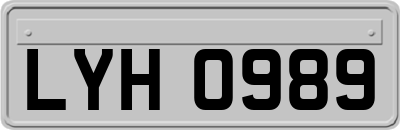 LYH0989