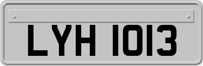 LYH1013