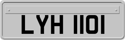 LYH1101