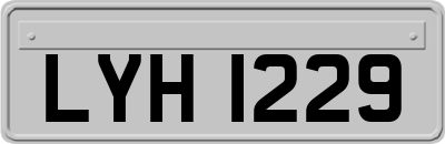 LYH1229