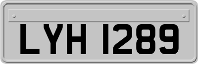 LYH1289
