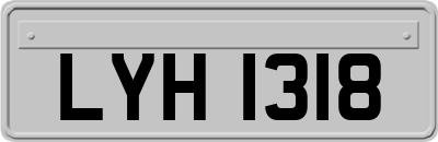 LYH1318