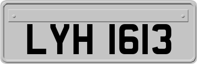 LYH1613
