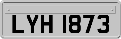 LYH1873