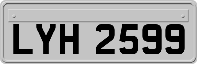 LYH2599