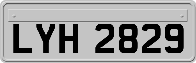 LYH2829