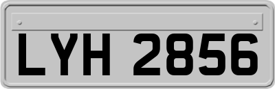 LYH2856