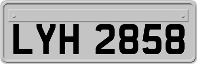 LYH2858