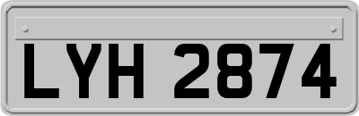 LYH2874