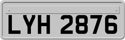 LYH2876