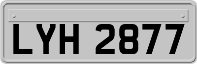 LYH2877