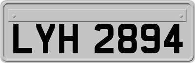 LYH2894
