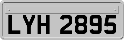 LYH2895