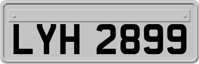 LYH2899
