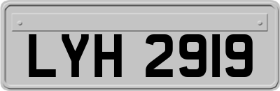 LYH2919