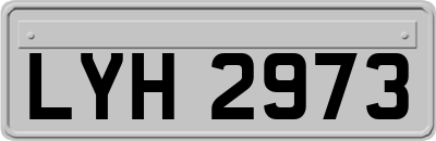 LYH2973